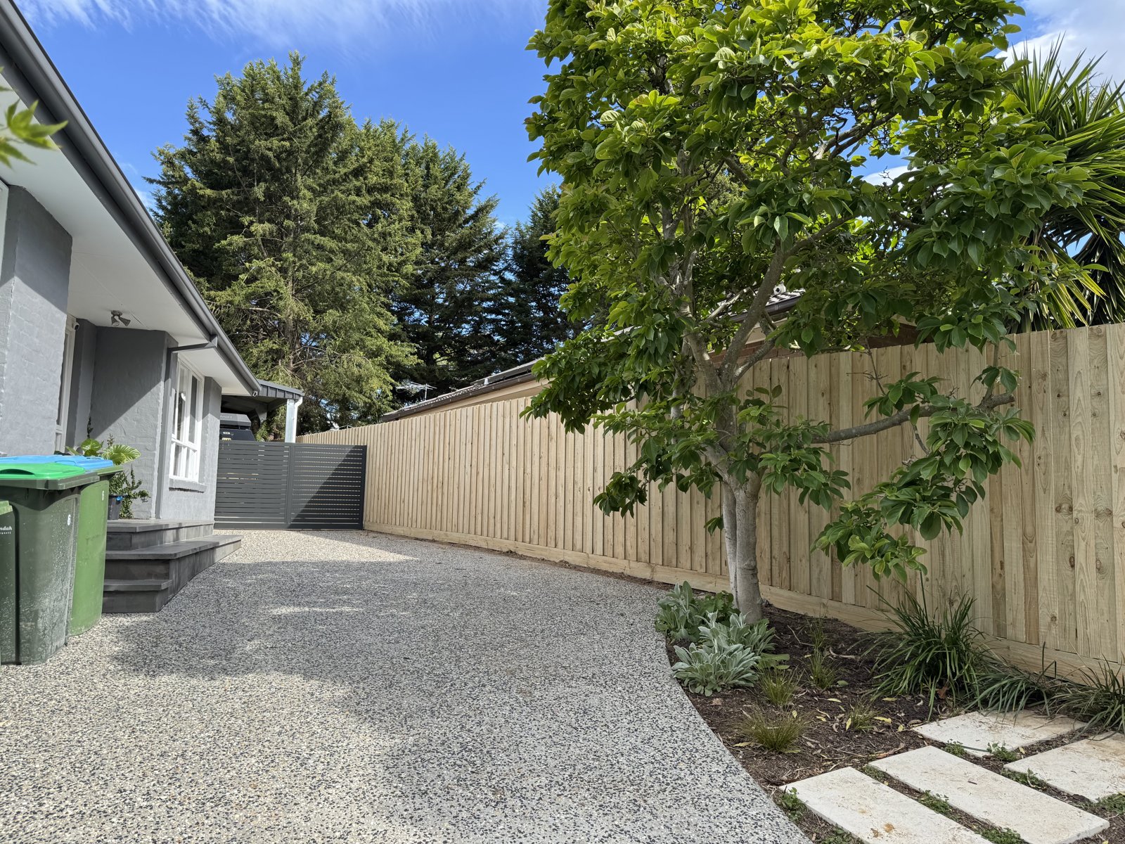 New timber paling fence along a backyard