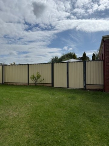 Colorbond fence in a backyard
