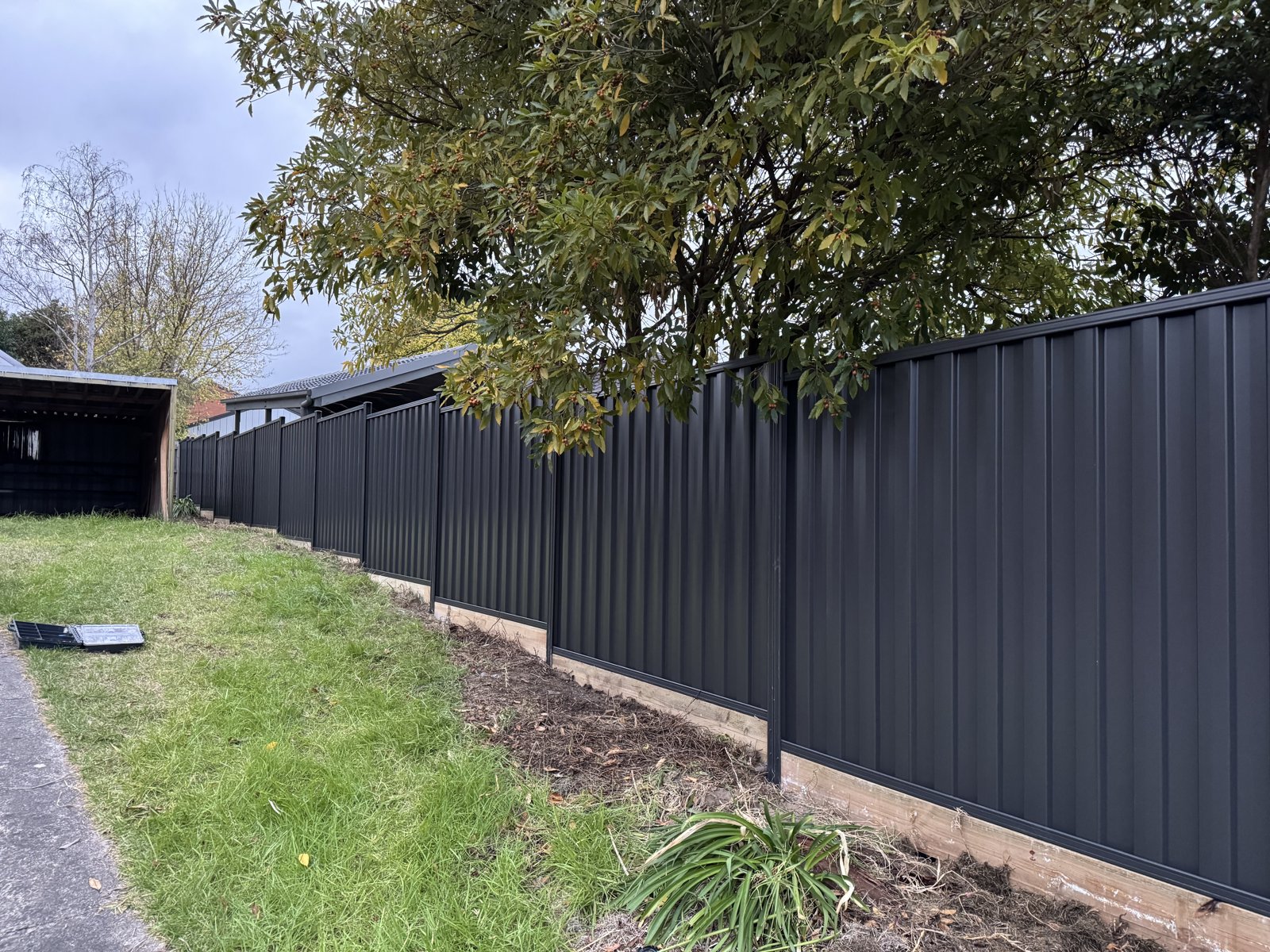 Colorbond boundary fence with garden