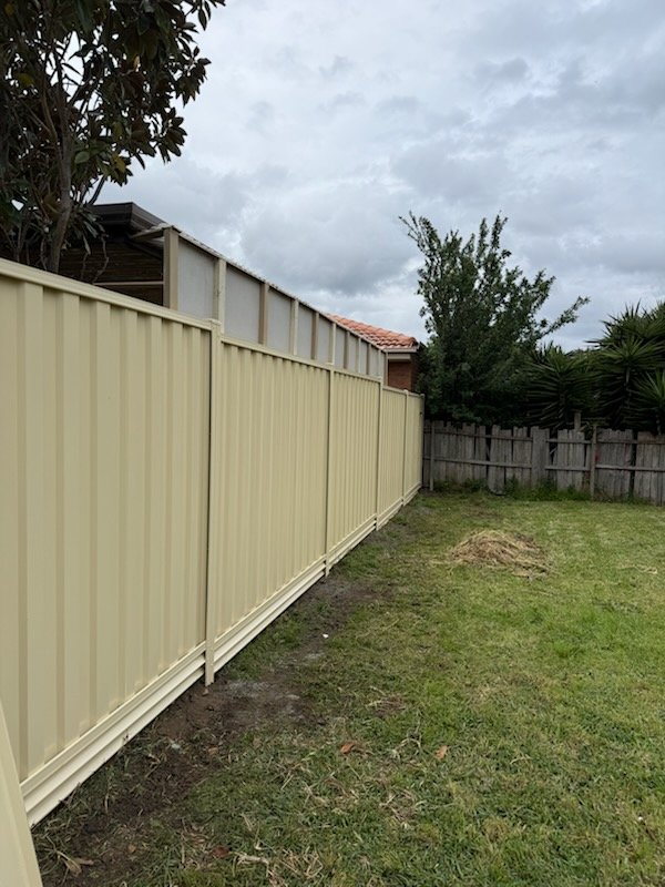 Colorbond fence in a backyard